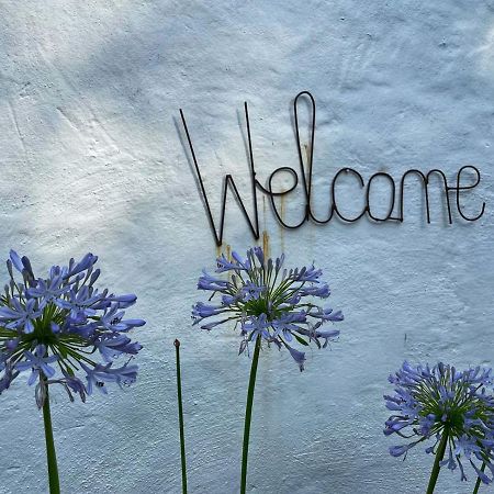 Caladdi Bed&Breakfast Durban Esterno foto