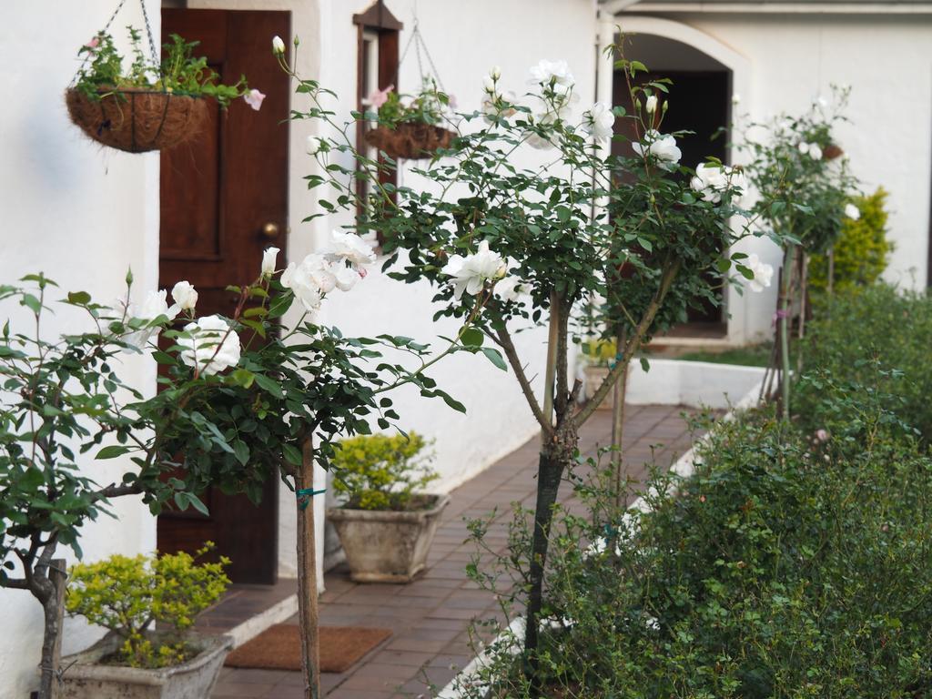 Caladdi Bed&Breakfast Durban Esterno foto