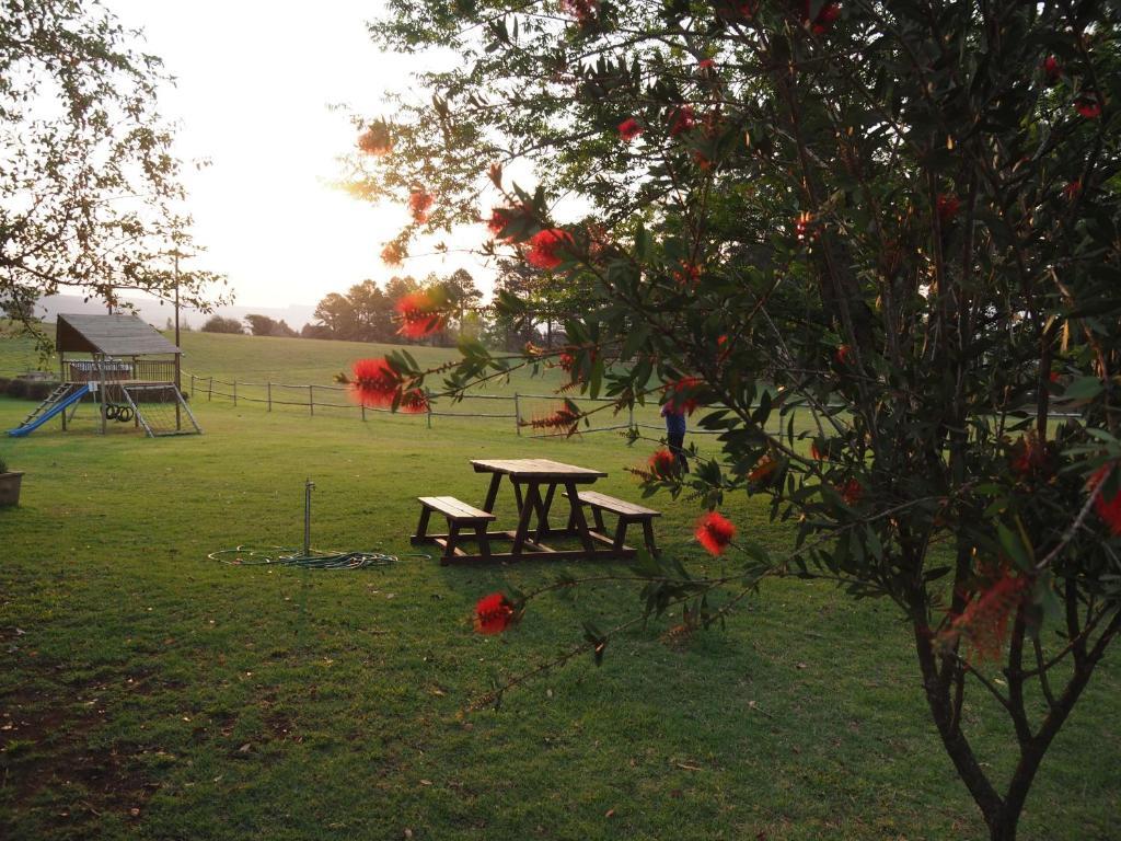 Caladdi Bed&Breakfast Durban Esterno foto